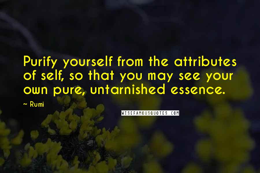 Rumi Quotes: Purify yourself from the attributes of self, so that you may see your own pure, untarnished essence.