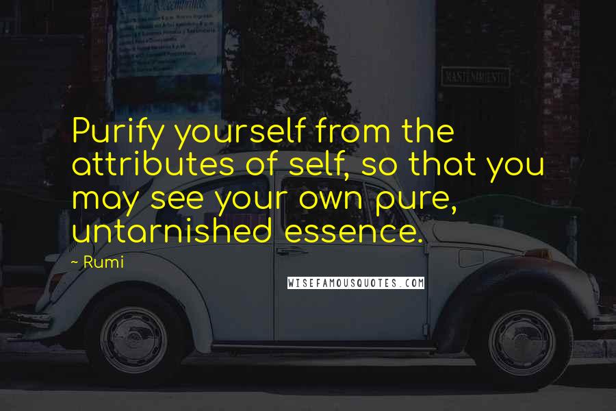 Rumi Quotes: Purify yourself from the attributes of self, so that you may see your own pure, untarnished essence.