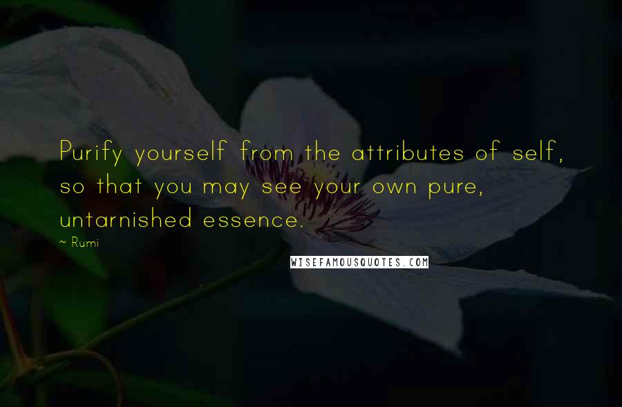 Rumi Quotes: Purify yourself from the attributes of self, so that you may see your own pure, untarnished essence.