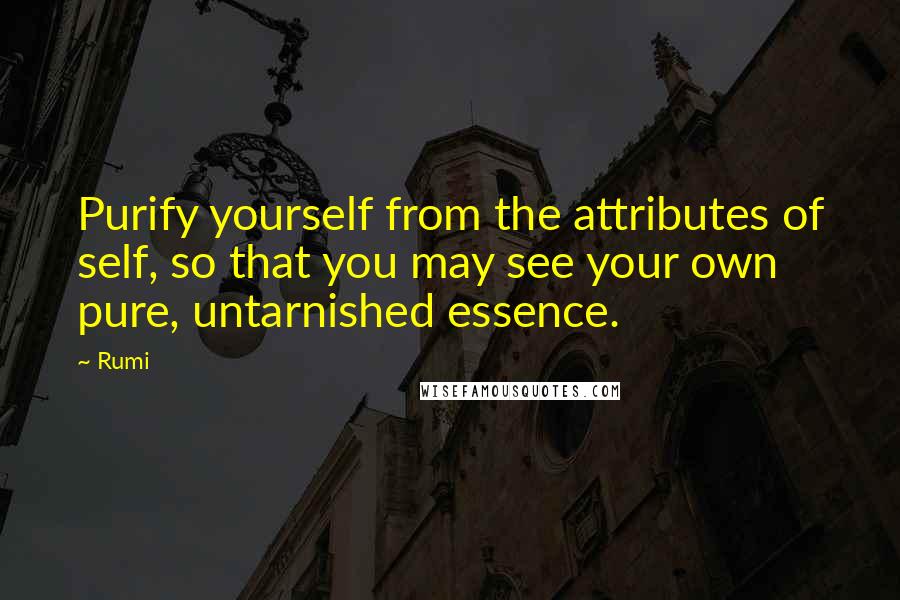 Rumi Quotes: Purify yourself from the attributes of self, so that you may see your own pure, untarnished essence.