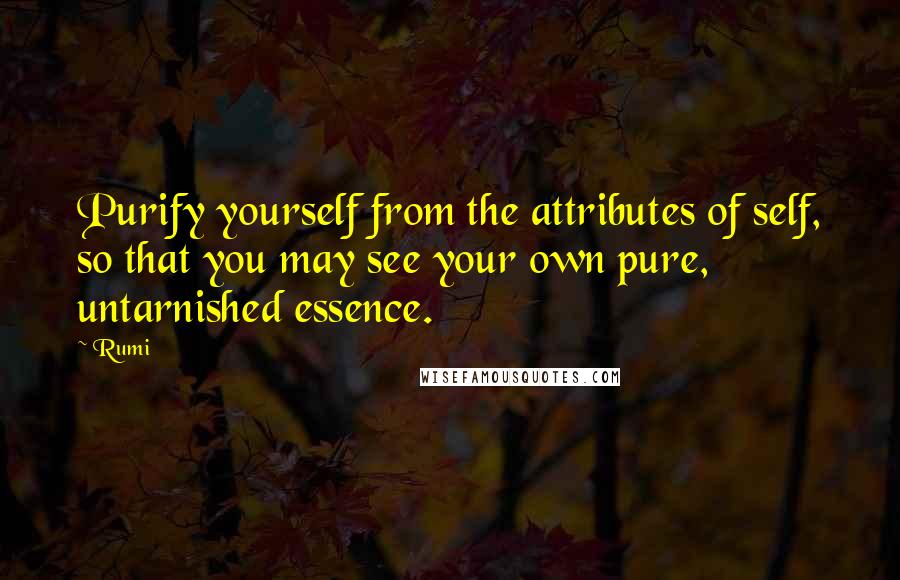 Rumi Quotes: Purify yourself from the attributes of self, so that you may see your own pure, untarnished essence.