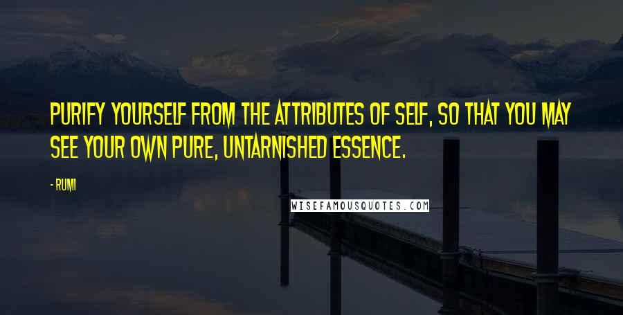 Rumi Quotes: Purify yourself from the attributes of self, so that you may see your own pure, untarnished essence.