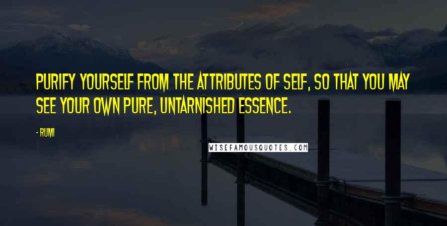 Rumi Quotes: Purify yourself from the attributes of self, so that you may see your own pure, untarnished essence.