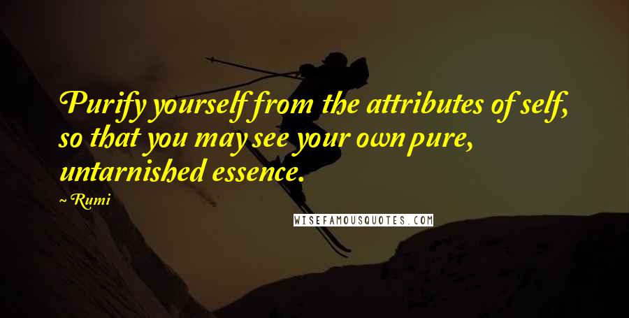 Rumi Quotes: Purify yourself from the attributes of self, so that you may see your own pure, untarnished essence.