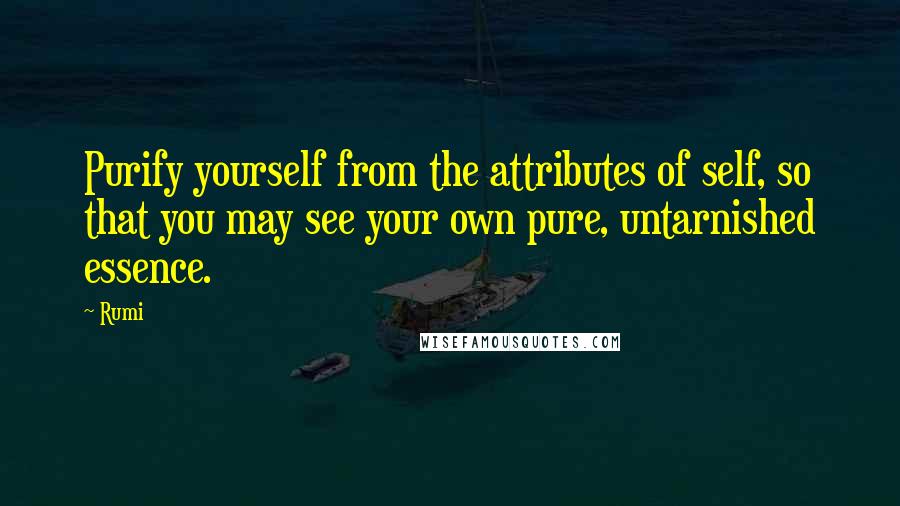 Rumi Quotes: Purify yourself from the attributes of self, so that you may see your own pure, untarnished essence.