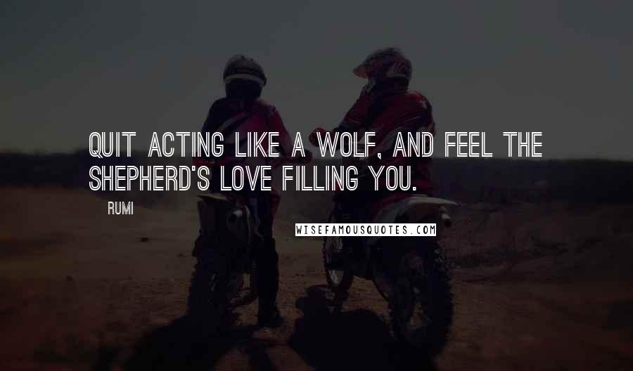 Rumi Quotes: Quit acting like a wolf, and feel the shepherd's love filling you.