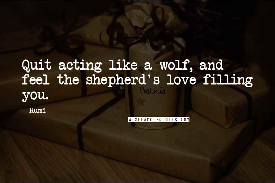 Rumi Quotes: Quit acting like a wolf, and feel the shepherd's love filling you.