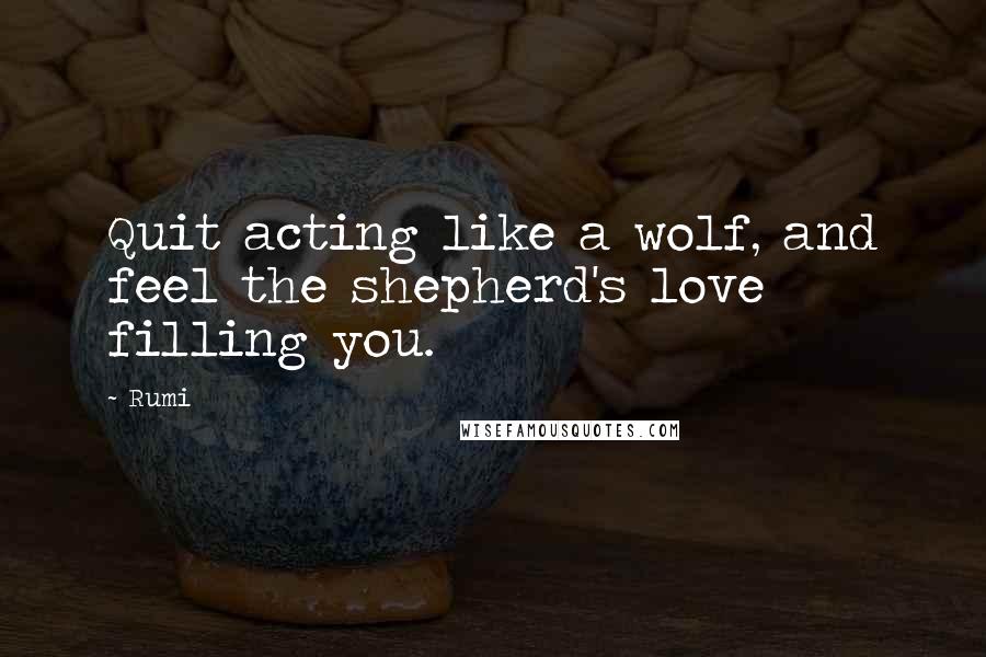 Rumi Quotes: Quit acting like a wolf, and feel the shepherd's love filling you.