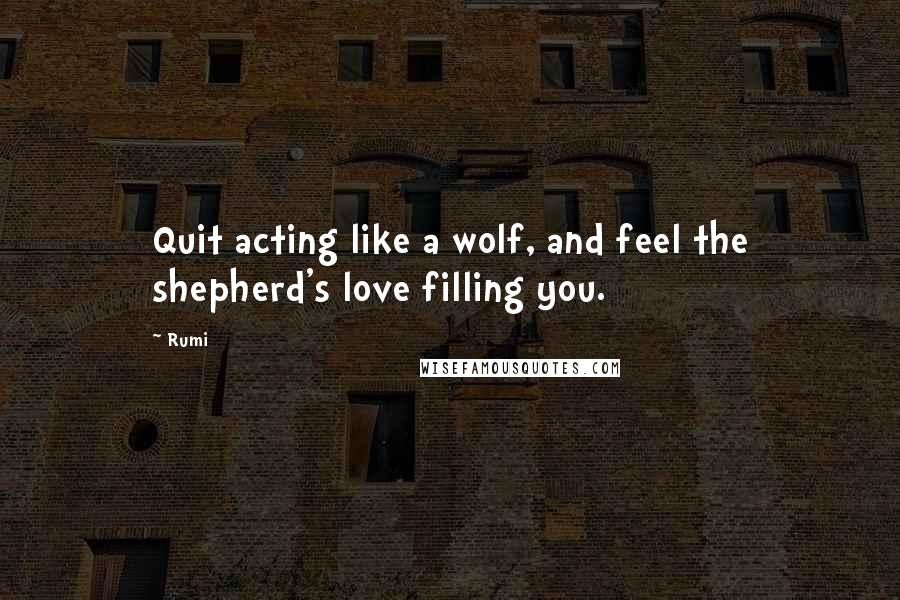 Rumi Quotes: Quit acting like a wolf, and feel the shepherd's love filling you.