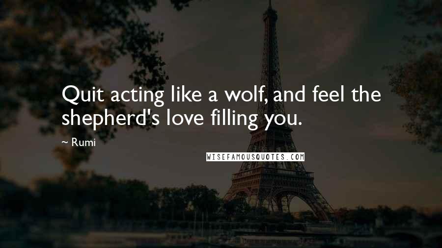 Rumi Quotes: Quit acting like a wolf, and feel the shepherd's love filling you.