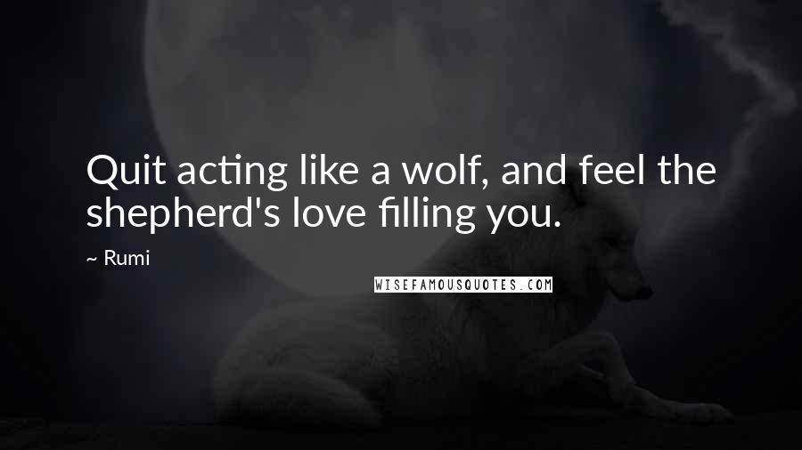 Rumi Quotes: Quit acting like a wolf, and feel the shepherd's love filling you.