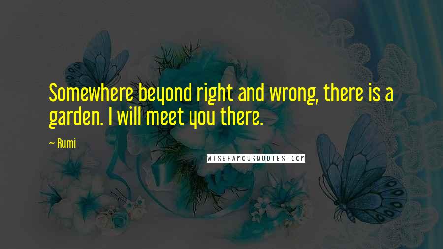 Rumi Quotes: Somewhere beyond right and wrong, there is a garden. I will meet you there.