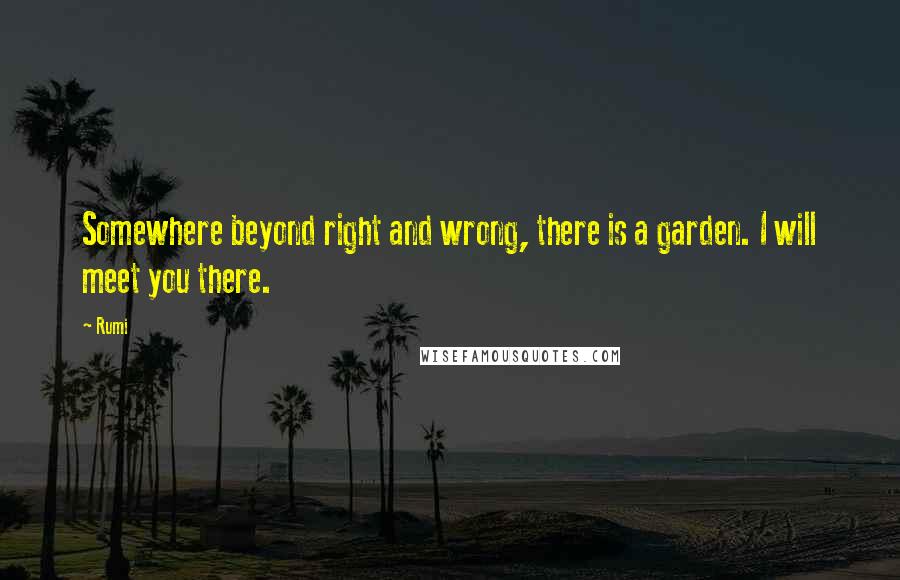 Rumi Quotes: Somewhere beyond right and wrong, there is a garden. I will meet you there.