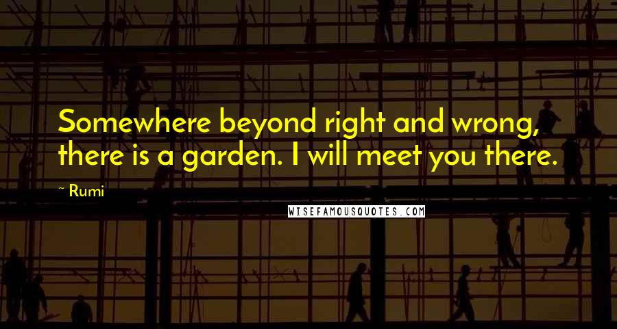 Rumi Quotes: Somewhere beyond right and wrong, there is a garden. I will meet you there.