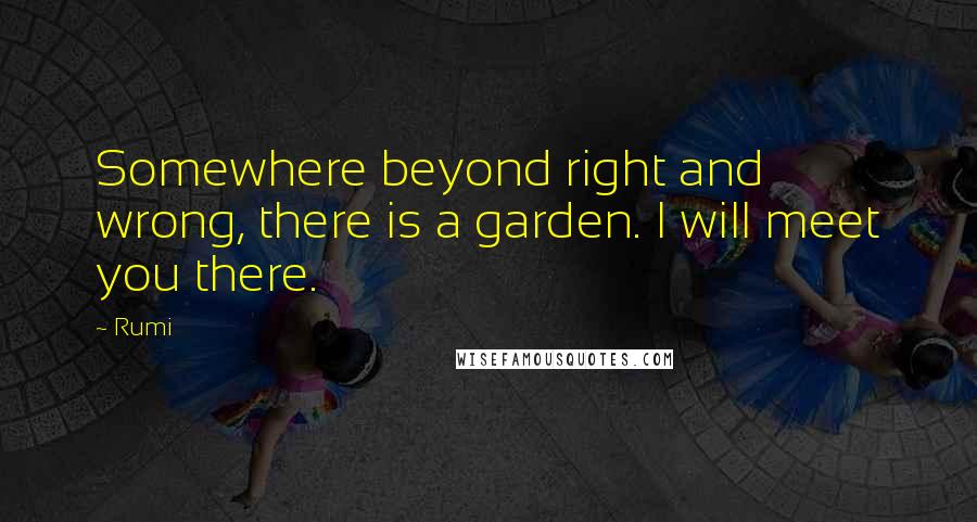 Rumi Quotes: Somewhere beyond right and wrong, there is a garden. I will meet you there.