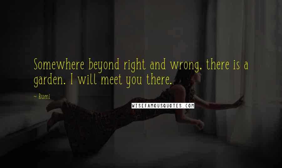 Rumi Quotes: Somewhere beyond right and wrong, there is a garden. I will meet you there.