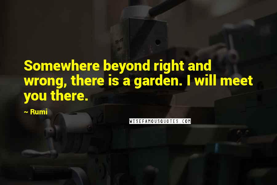 Rumi Quotes: Somewhere beyond right and wrong, there is a garden. I will meet you there.