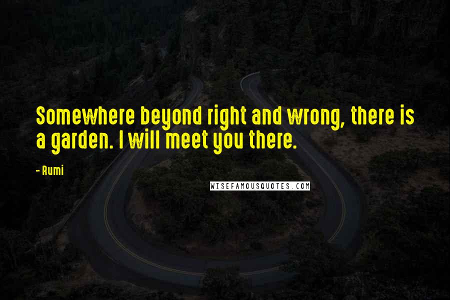 Rumi Quotes: Somewhere beyond right and wrong, there is a garden. I will meet you there.