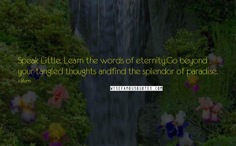 Rumi Quotes: Speak Little. Learn the words of eternity.Go beyond your tangled thoughts andfind the splendor of paradise.