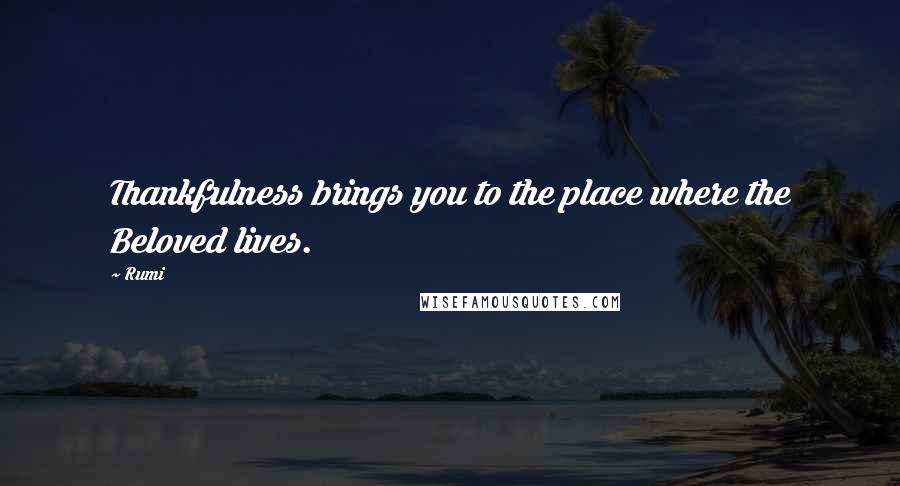 Rumi Quotes: Thankfulness brings you to the place where the Beloved lives.