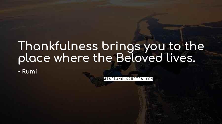 Rumi Quotes: Thankfulness brings you to the place where the Beloved lives.