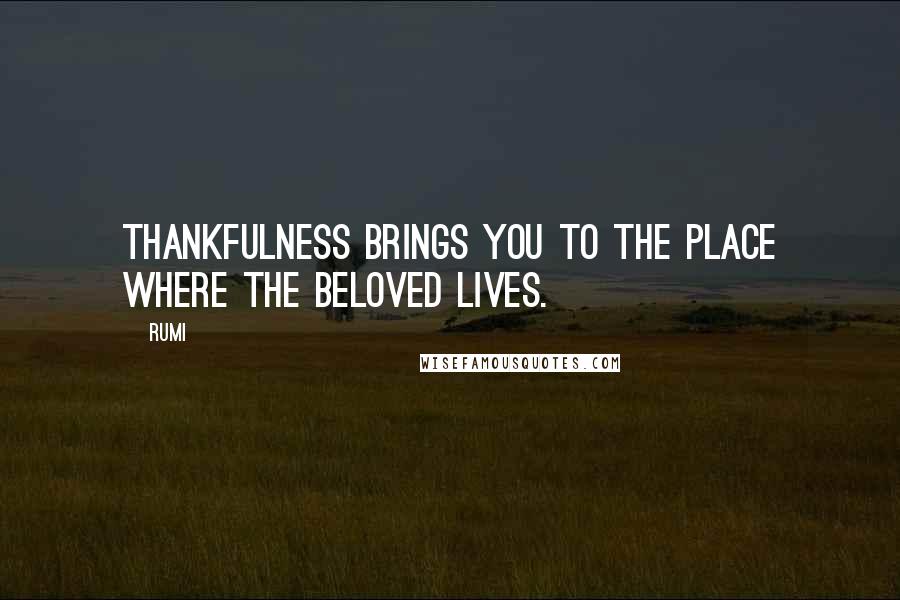 Rumi Quotes: Thankfulness brings you to the place where the Beloved lives.