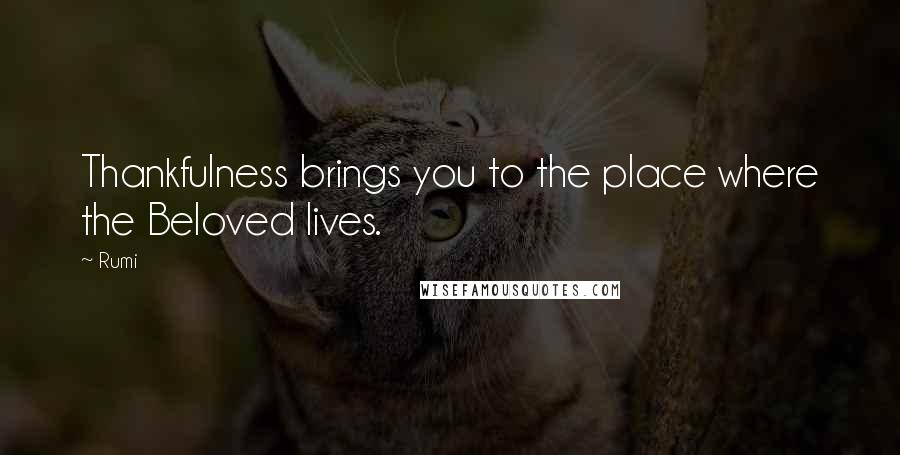 Rumi Quotes: Thankfulness brings you to the place where the Beloved lives.