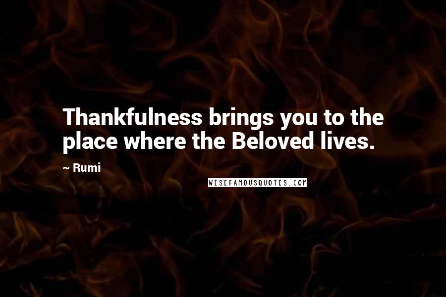 Rumi Quotes: Thankfulness brings you to the place where the Beloved lives.