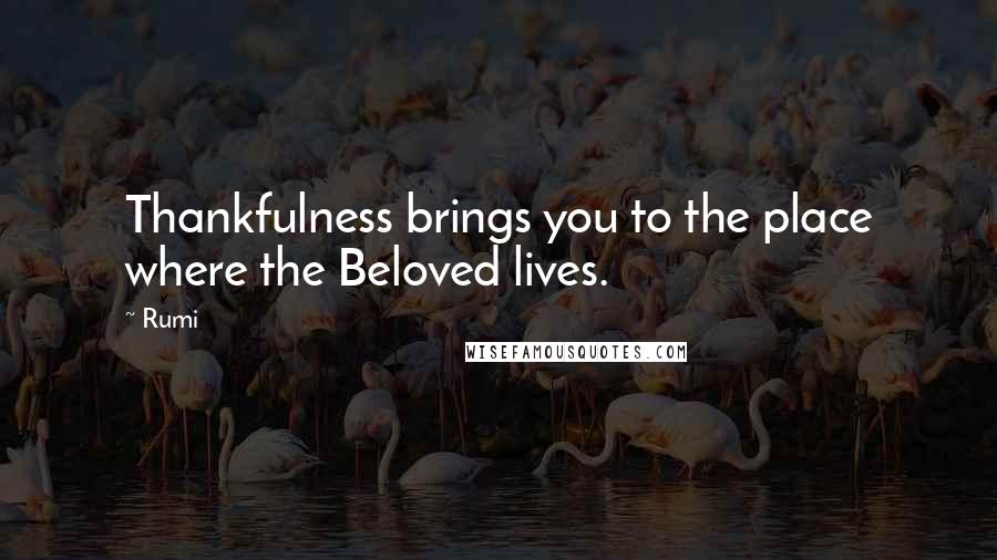 Rumi Quotes: Thankfulness brings you to the place where the Beloved lives.