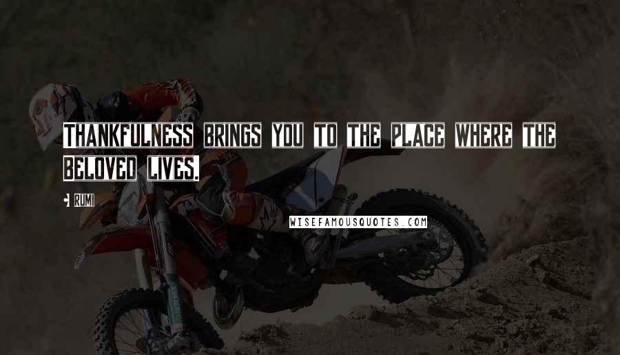 Rumi Quotes: Thankfulness brings you to the place where the Beloved lives.