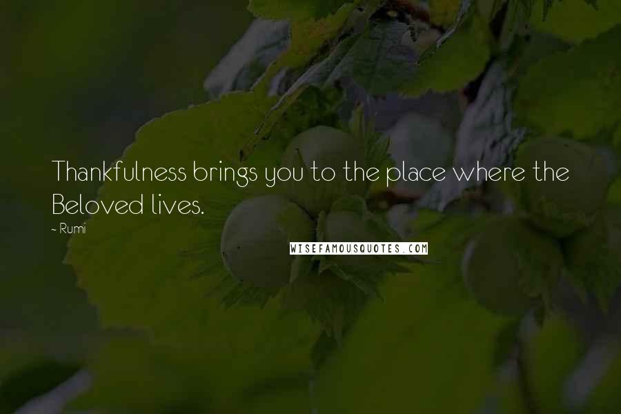 Rumi Quotes: Thankfulness brings you to the place where the Beloved lives.