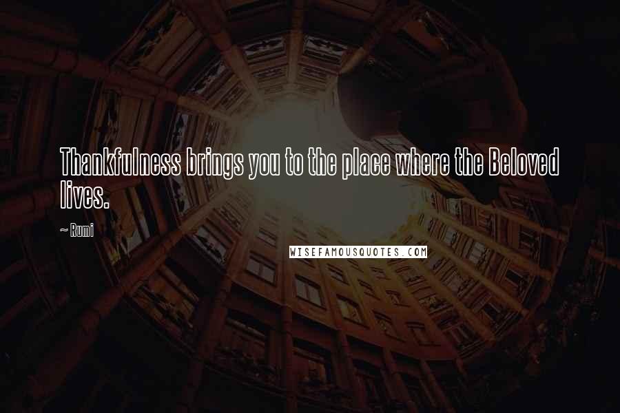 Rumi Quotes: Thankfulness brings you to the place where the Beloved lives.