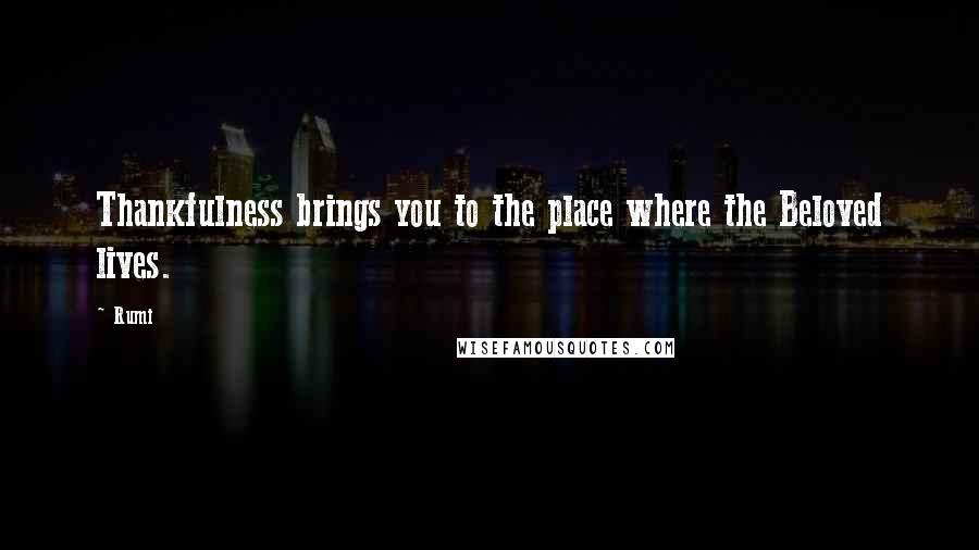 Rumi Quotes: Thankfulness brings you to the place where the Beloved lives.