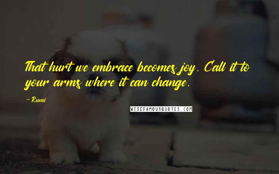 Rumi Quotes: That hurt we embrace becomes joy. Call it to your arms where it can change.