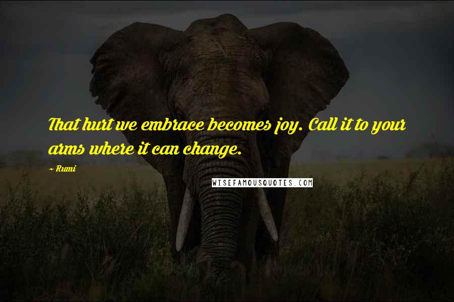 Rumi Quotes: That hurt we embrace becomes joy. Call it to your arms where it can change.