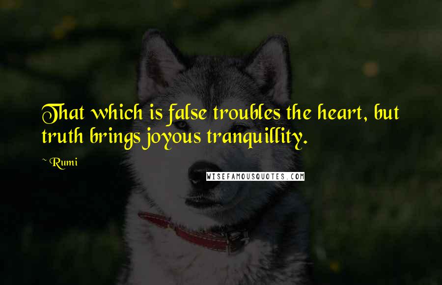 Rumi Quotes: That which is false troubles the heart, but truth brings joyous tranquillity.