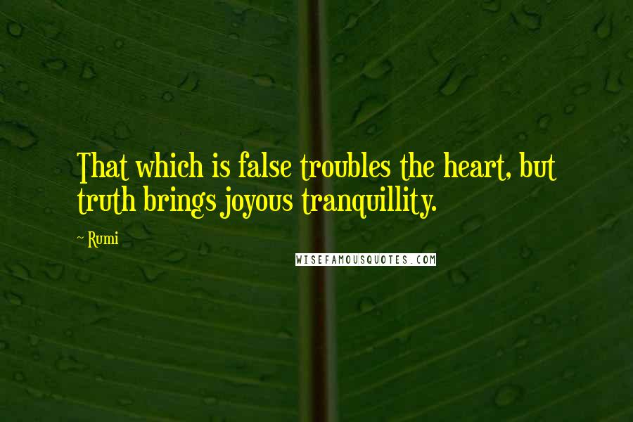 Rumi Quotes: That which is false troubles the heart, but truth brings joyous tranquillity.