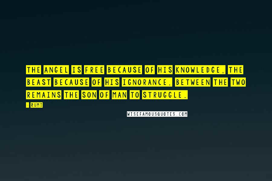 Rumi Quotes: The angel is free because of his knowledge, the beast because of his ignorance. Between the two remains the son of man to struggle.