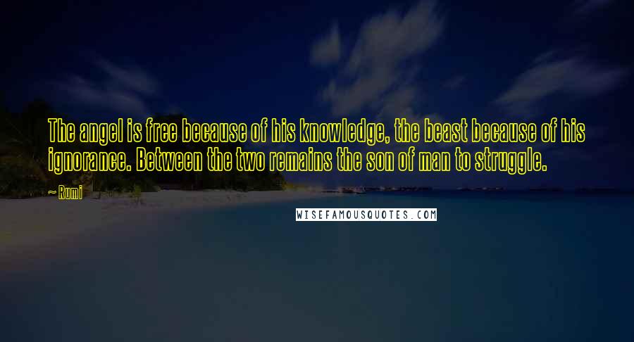 Rumi Quotes: The angel is free because of his knowledge, the beast because of his ignorance. Between the two remains the son of man to struggle.