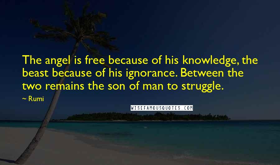Rumi Quotes: The angel is free because of his knowledge, the beast because of his ignorance. Between the two remains the son of man to struggle.