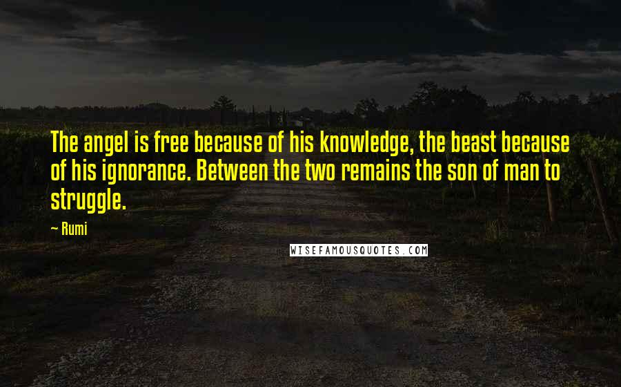 Rumi Quotes: The angel is free because of his knowledge, the beast because of his ignorance. Between the two remains the son of man to struggle.