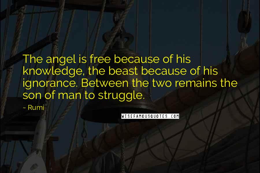 Rumi Quotes: The angel is free because of his knowledge, the beast because of his ignorance. Between the two remains the son of man to struggle.