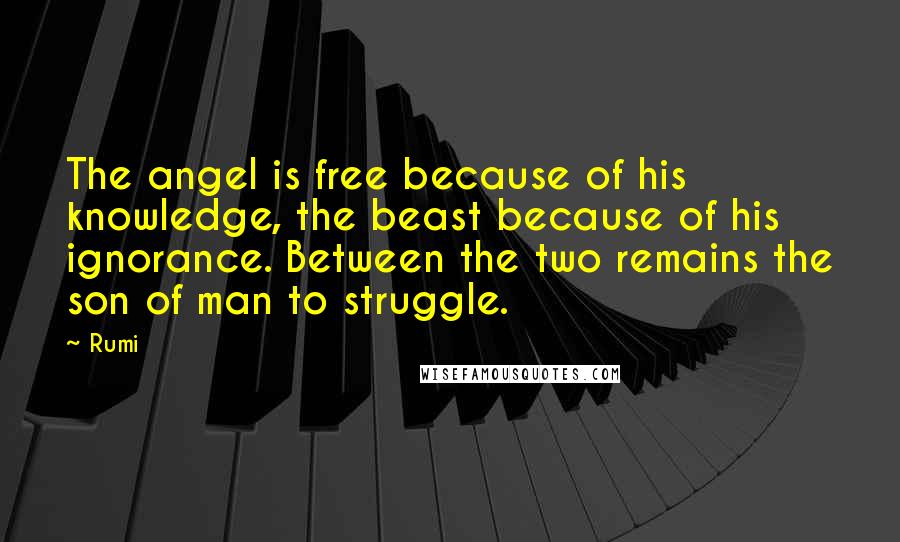 Rumi Quotes: The angel is free because of his knowledge, the beast because of his ignorance. Between the two remains the son of man to struggle.