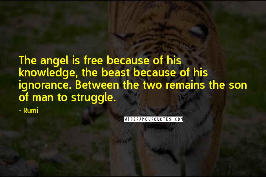 Rumi Quotes: The angel is free because of his knowledge, the beast because of his ignorance. Between the two remains the son of man to struggle.