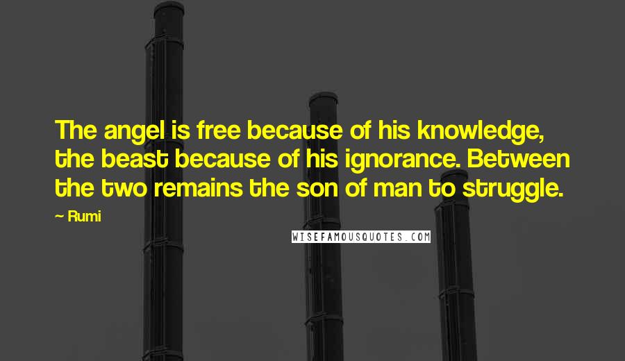 Rumi Quotes: The angel is free because of his knowledge, the beast because of his ignorance. Between the two remains the son of man to struggle.