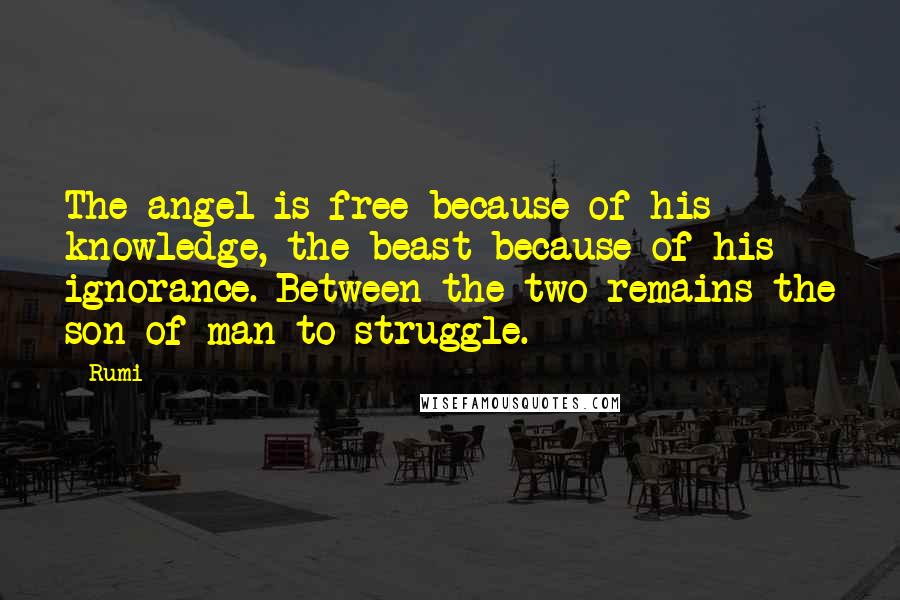 Rumi Quotes: The angel is free because of his knowledge, the beast because of his ignorance. Between the two remains the son of man to struggle.