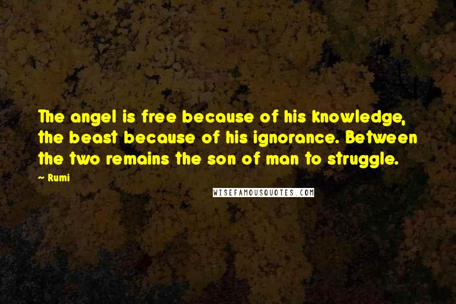 Rumi Quotes: The angel is free because of his knowledge, the beast because of his ignorance. Between the two remains the son of man to struggle.