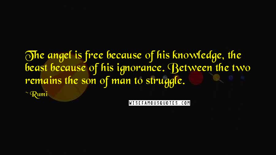 Rumi Quotes: The angel is free because of his knowledge, the beast because of his ignorance. Between the two remains the son of man to struggle.