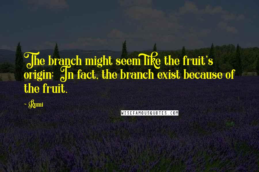 Rumi Quotes: The branch might seem like the fruit's origin: In fact, the branch exist because of the fruit.