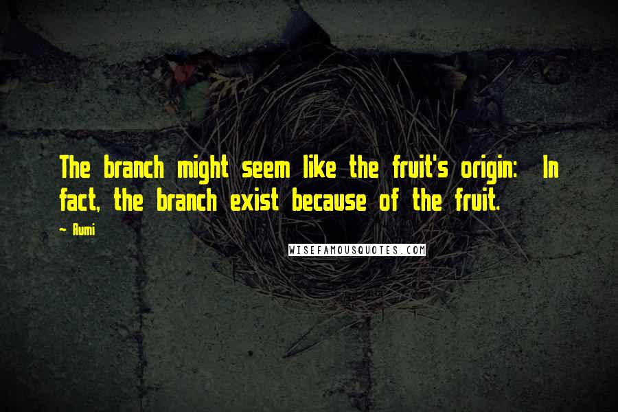 Rumi Quotes: The branch might seem like the fruit's origin:  In fact, the branch exist because of the fruit.